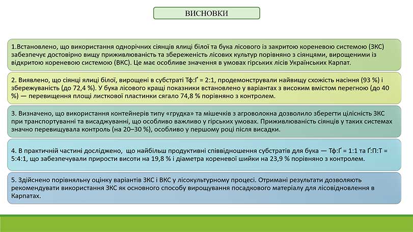 Зразок оформлення висновків до презентації